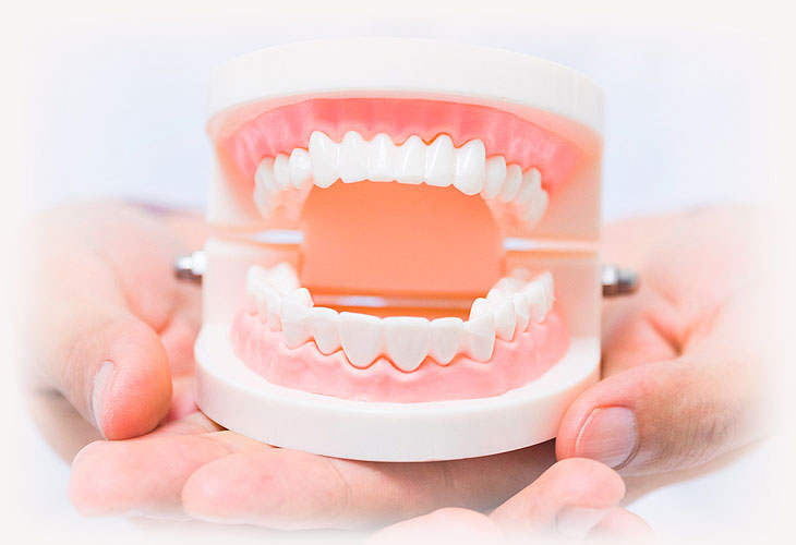 Зубные протезы при полном отсутствии зубов | «Премьера»