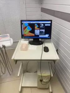 Фотография Элла 3